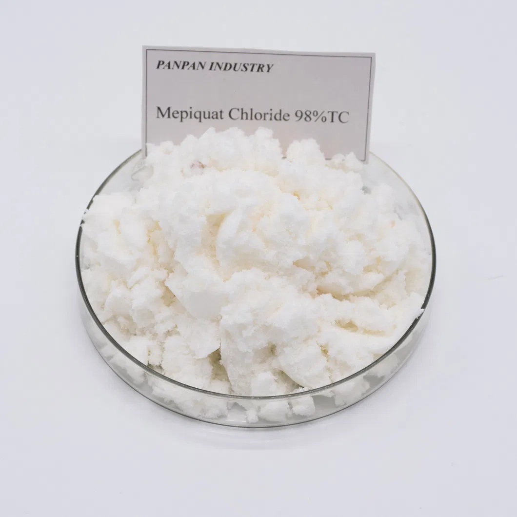 24307-26-4 Control Overgrowth Mepiquat Chloride Pix 98%Tc