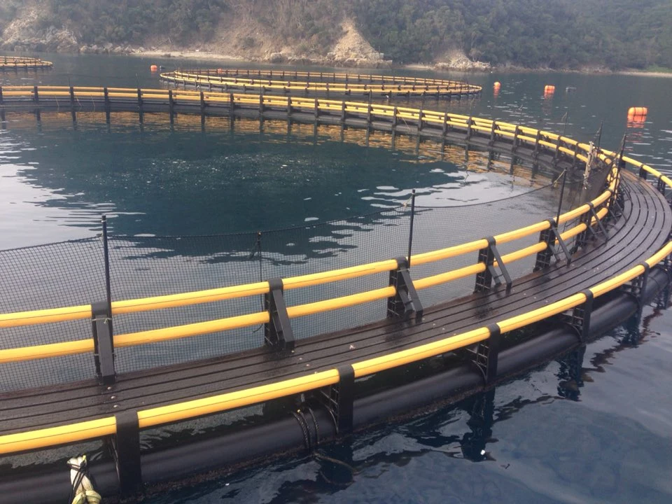 Marine and Offshore HDPE Floating Circular Fish Farming in Deep Sea