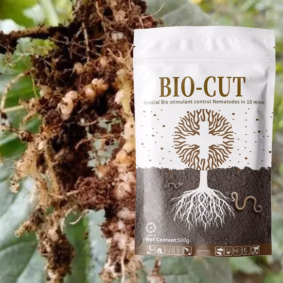 Bio Cut Biologischer organischer flüssiger Stimulanziendünger für Nematoden